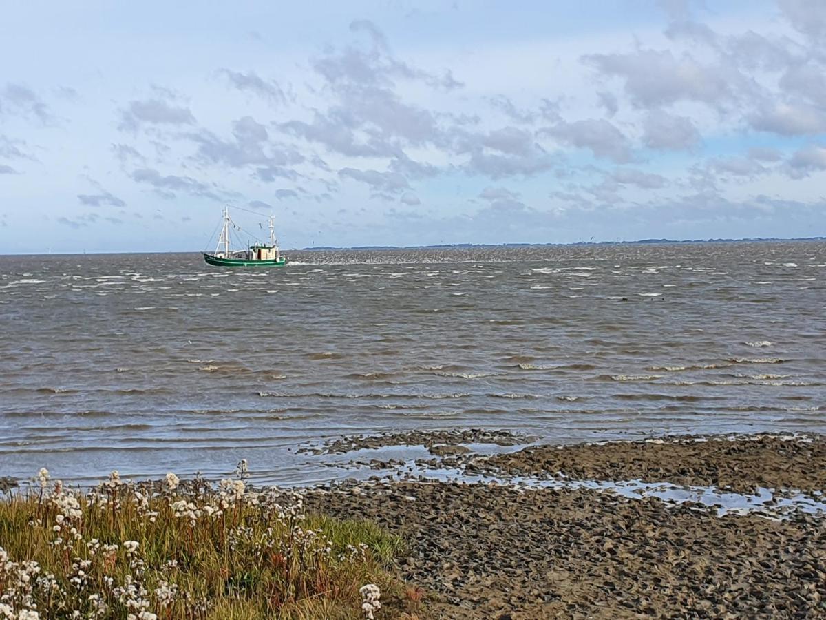 Ferienhaus An Der Nordsee - Familienfreundlich, Gut Ausgestattet & Viel Platz บุทยาดิงเงน ภายนอก รูปภาพ